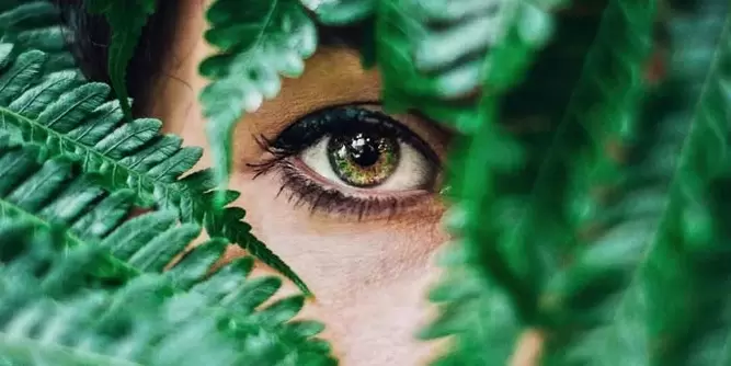 Vision and charge for his restoration